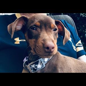 Meet your Posher, Jody